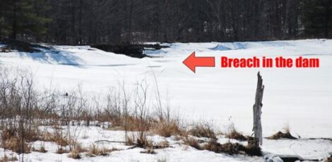 A Small-Scale Natural Disaster Image